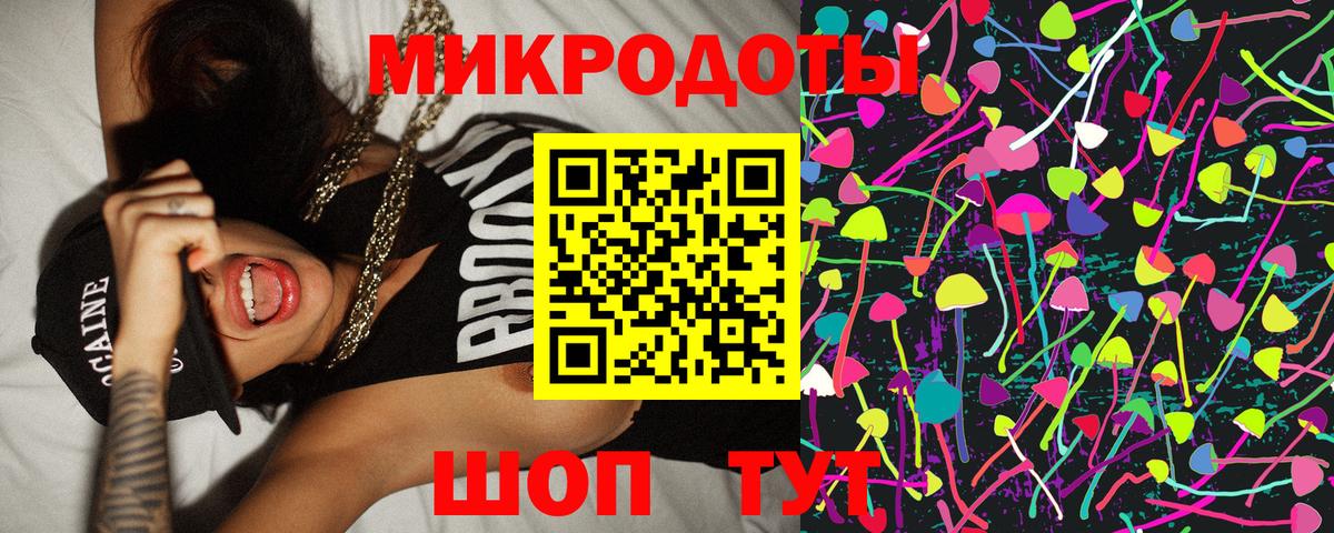 Псилоцибиновые грибы Cubensis Майкоп