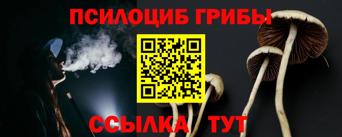 Майкоп  Псилоцибиновые грибы мухоморы  Вход с VPN  Псилоцибиновые грибы прущие грибы 